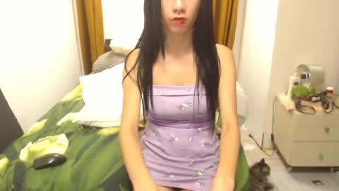 stephanie online show from March 6, 2025, 1:57 pm
