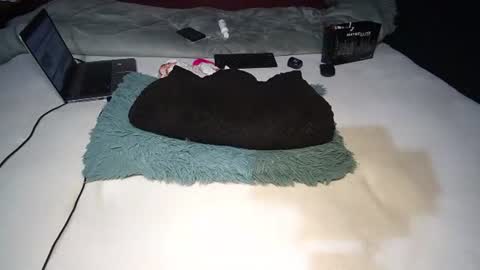 Rania online show from November 10, 2025, 8:46 am