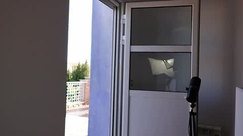 Marcos online show from April 3, 2026, 4:05 pm