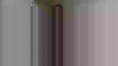 Snapshot of firsttime_freak chatting on February 8, 2026, 4:38 am FirstTimeFeak online show from February 8, 2026, 4:38 am