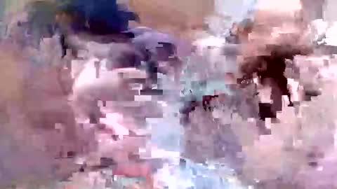 fishon13 online show from April 19, 2026, 1:38 am