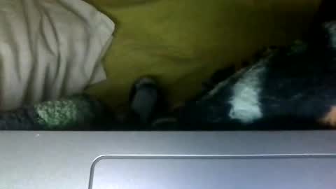  FLINTSTONE MAFIA online show from October 21, 2025, 1:06 am