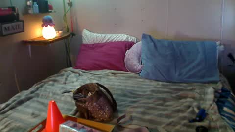 Eisha online show from December 22, 2024, 9:09 pm