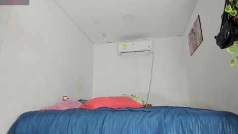    online show from November 11, 2025, 3:06 am