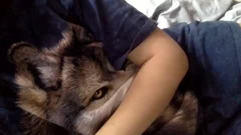 floraexploration online show from December 22, 2024, 11:22 am