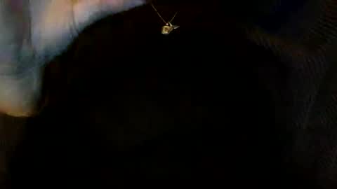 floraexploration online show from December 23, 2024, 6:27 pm