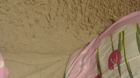 Snapshot of flowercandydoll chatting on December 9, 2024, 7:07 pm say meow and send tip online show from December 9, 2024, 7:07 pm