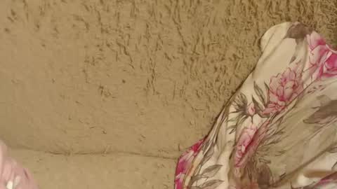 say meow and send tip  online show from September 19, 2025, 11:22 am