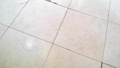 Snapshot of flyckers chatting on September 13, 2025, 8:19 pm flyckers online show from September 13, 2025, 8:19 pm