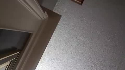 Snapshot of followthewhiterabbittail chatting on October 2, 2025, 2:29 am Have fun remembering u online show from October 2, 2025, 2:29 am