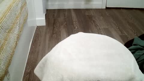 Snapshot of forestnymphpdx chatting on October 19, 2025, 12:11 am forestnymphpdx online show from October 19, 2025, 12:11 am