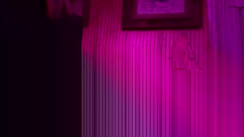 foxrun2 online show from February 26, 2026, 11:09 am