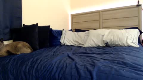 Angel online show from December 5, 2024, 3:39 pm