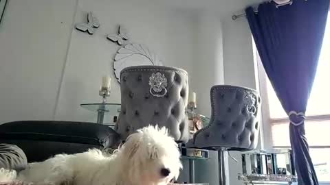 Snapshot of franciscomalin chatting on July 29, 2026, 6:55 am franciscomalin online show from July 29, 2026, 6:55 am