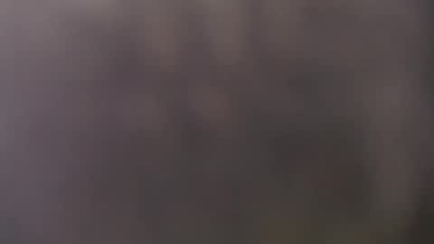 francescosal online show from May 15, 2026, 10:44 am