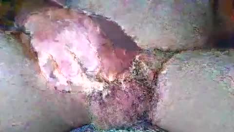 Snapshot of free_amos chatting on April 7, 2026, 6:25 am free_amos online show from April 7, 2026, 6:25 am