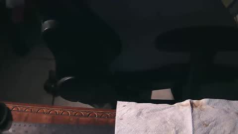 freetryal online show from November 21, 2025, 2:21 am