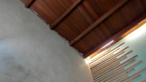 Xavier online show from March 6, 2026, 2:08 am