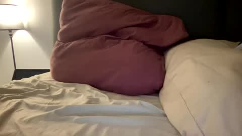 Snapshot of frenchsmoker29 chatting on January 3, 2025, 8:21 am frenchsmoker29 online show from January 3, 2025, 8:21 am