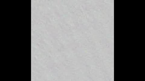 Freya online show from January 28, 2025, 11:17 am