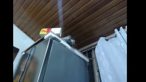 freyaa_sorceress online show from December 31, 2024, 3:12 am