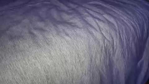 FreyaTheGemini online show from January 7, 2025, 3:46 am