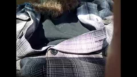 Frickish online show from January 21, 2025, 6:55 pm