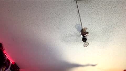 Fabian online show from April 1, 2026, 7:53 am