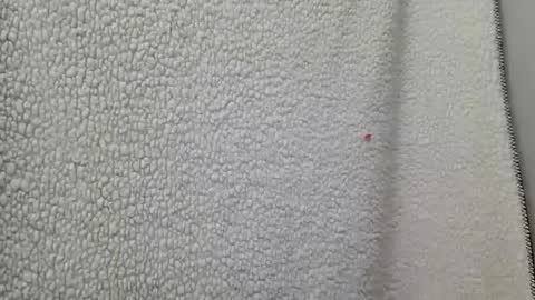 fu338208 online show from March 12, 2025, 4:41 am