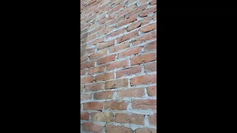 Fuckerrkapil online show from January 7, 2026, 7:44 am