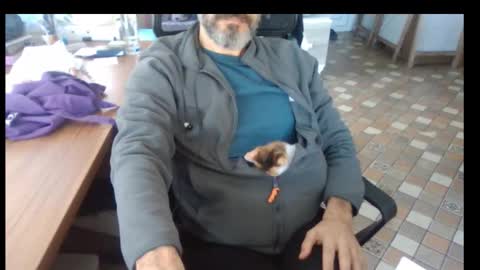 Bruchus online show from November 25, 2025, 9:42 am