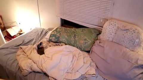 fuckmypussyplz1 online show from September 11, 2025, 2:55 am