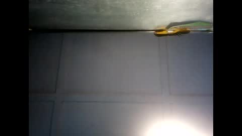 Warwick online show from December 3, 2024, 7:21 am