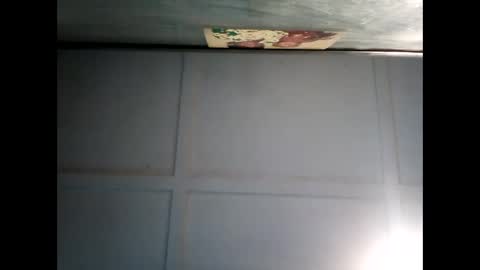 Warwick online show from December 11, 2024, 7:31 am