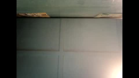 Warwick online show from December 19, 2024, 6:12 am