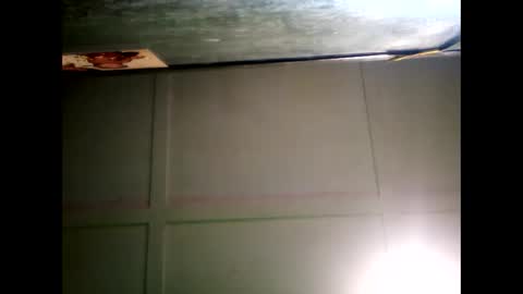 Warwick online show from December 24, 2024, 8:55 am