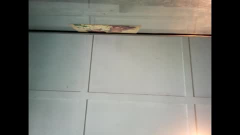 Warwick online show from December 26, 2024, 12:03 am