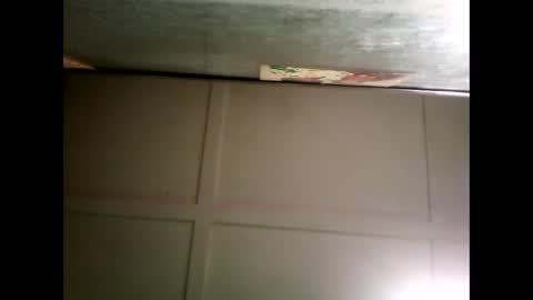 Warwick online show from December 26, 2024, 9:01 am