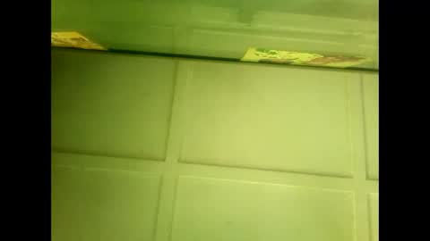 Warwick online show from January 7, 2025, 5:43 am