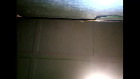 Warwick online show from January 11, 2025, 9:47 am