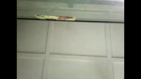 Warwick online show from January 14, 2025, 6:24 am