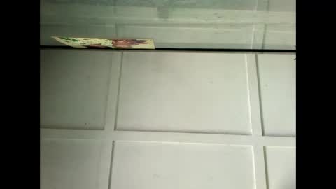 Warwick online show from January 29, 2025, 4:05 am