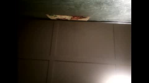 Warwick online show from February 13, 2025, 8:48 am