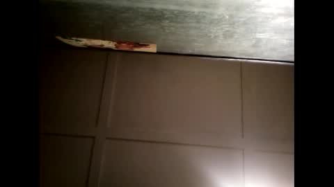 Warwick online show from February 21, 2025, 11:01 am