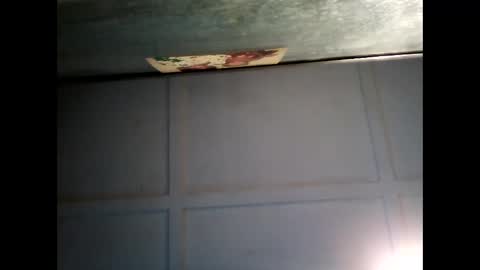 Warwick online show from February 22, 2025, 7:56 am