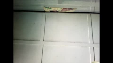 Warwick online show from February 24, 2025, 1:02 am