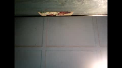 Warwick online show from February 24, 2025, 7:33 am