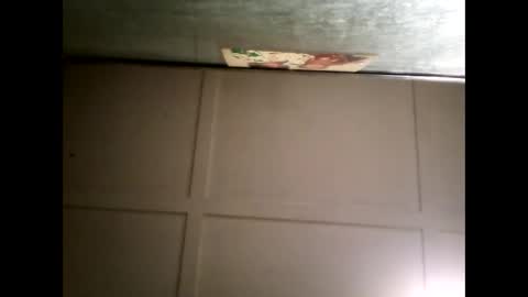 Warwick online show from March 5, 2025, 11:49 am