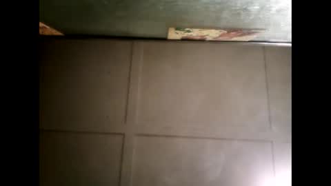 Warwick online show from March 12, 2025, 11:20 am