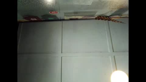 Warwick online show from September 29, 2025, 1:00 am